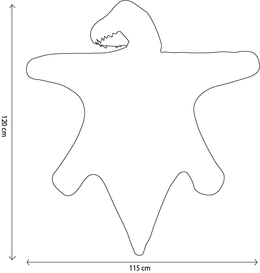 Costume, T - Rex - Le Petit Marché Home Furniture