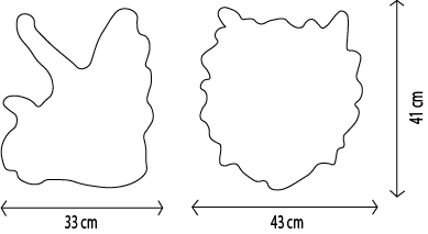 Head, Adam the Triceratops - Le Petit Marché Home Furniture