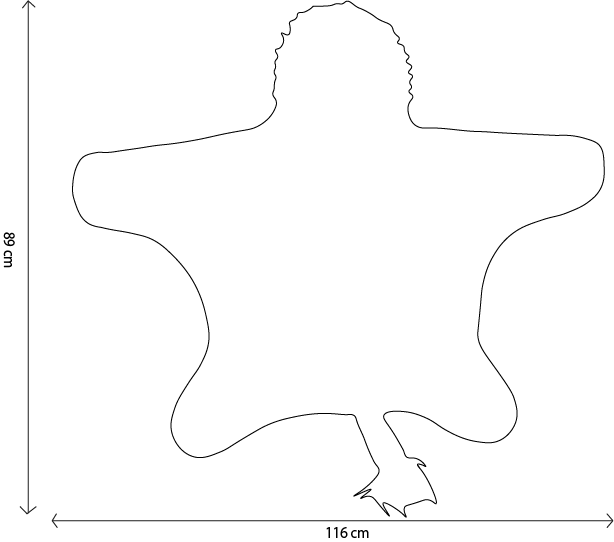 Lion Costume - Le Petit Marché Home Furniture