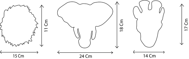 Safari Box Small Heads - Le Petit Marché Home Furniture