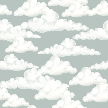 Wallpaper - Classic Velveteen Clouds Gray Blue - Le Petit Marché Home Furniture