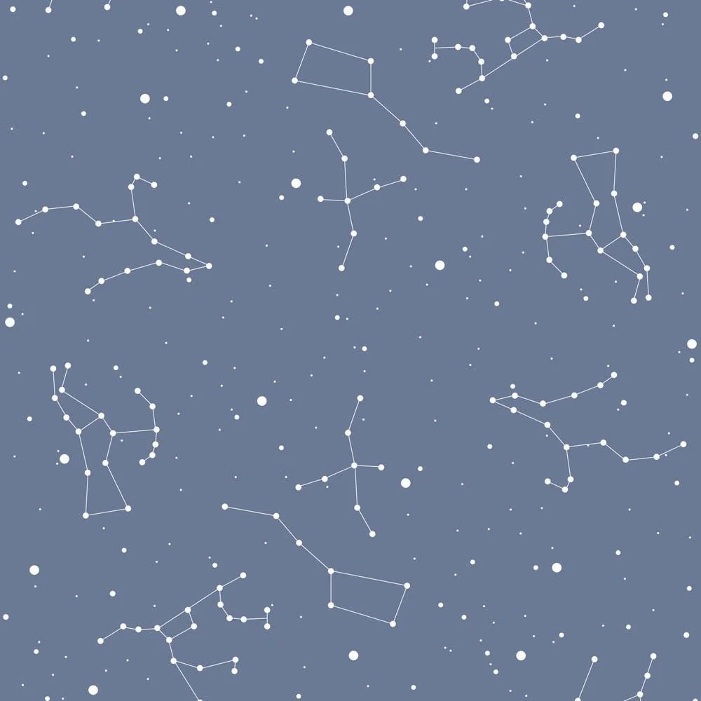 Wallpaper - Simple Cosmos Blue - Le Petit Marché Home Furniture