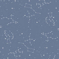 Wallpaper - Simple Cosmos Blue - Le Petit Marché Home Furniture