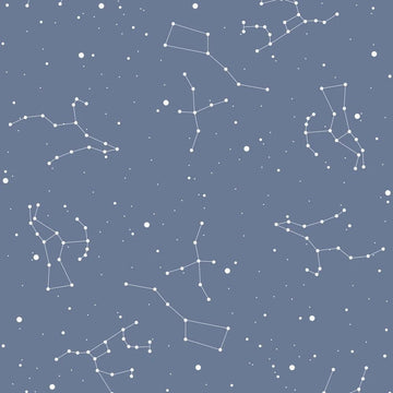 Wallpaper - Simple Cosmos Blue - Le Petit Marché Home Furniture