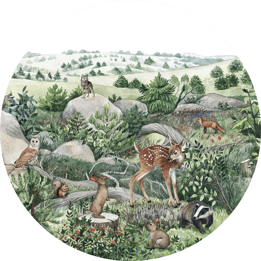 Happy Hills - Circle - Le Petit Marché Home Furniture