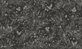 Wallpaper - Playful Robins - Monochrome - Black (Pre - Order) - LPM Home