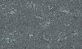 Wallpaper - Playful Woods - Monochrome - Blue (Pre - Order) - LPM Home