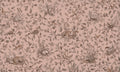 Wallpaper - Playful Woods - Monochrome Pink (Pre - Order) - LPM Home