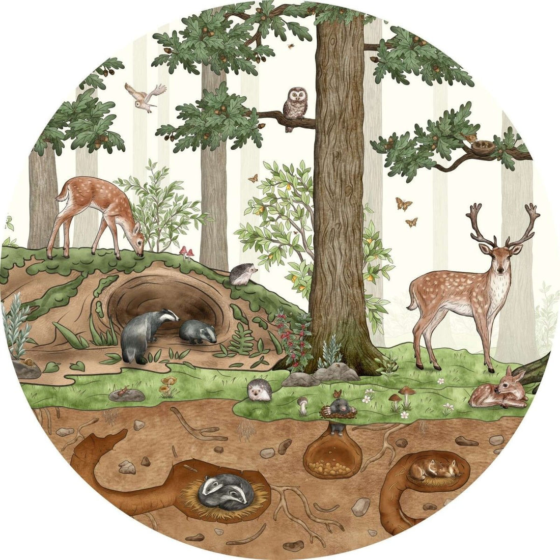 Wallpaper - Animals in the Forest - Circle (Pre - Order) - LPM Home