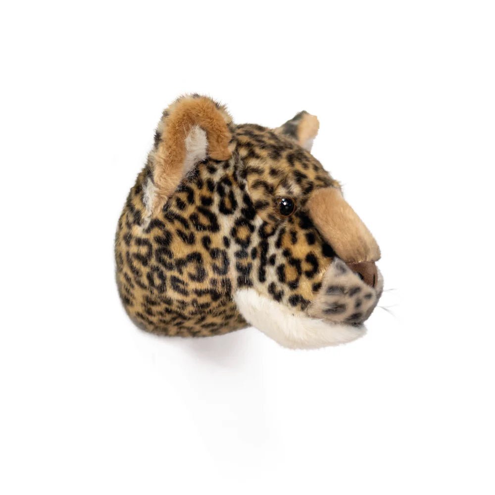 Head, Charlie the Leopard - Le Petit Marché Home Furniture