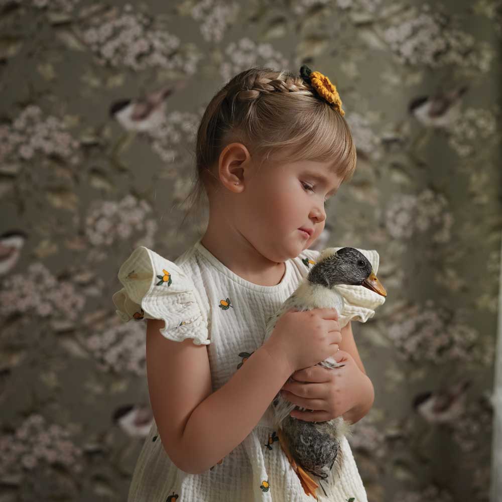 Wallpaper - Birds and Green Spring - Le Petit Marché Home Furniture