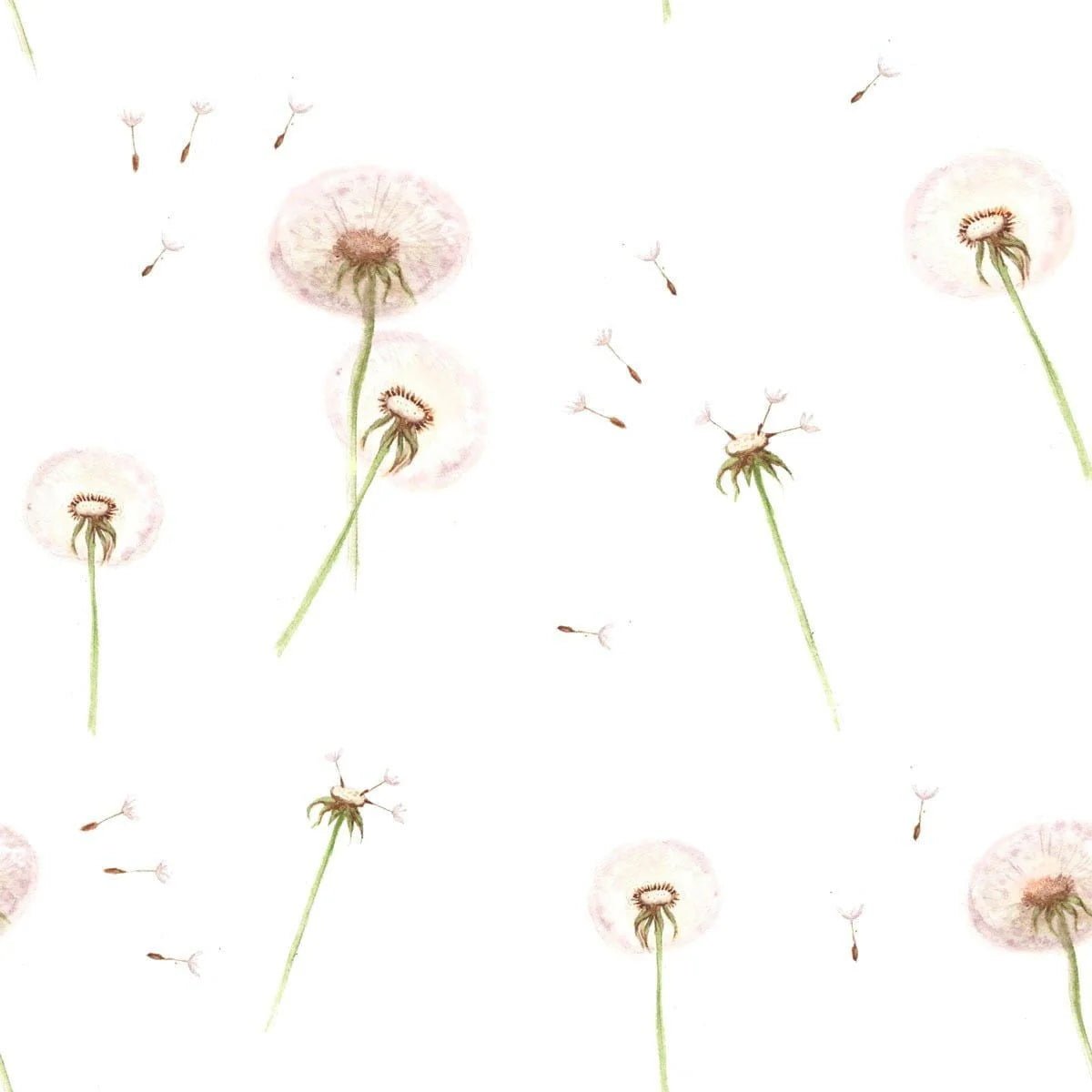 Wallpaper - Dandelions - Le Petit Marché Home Furniture