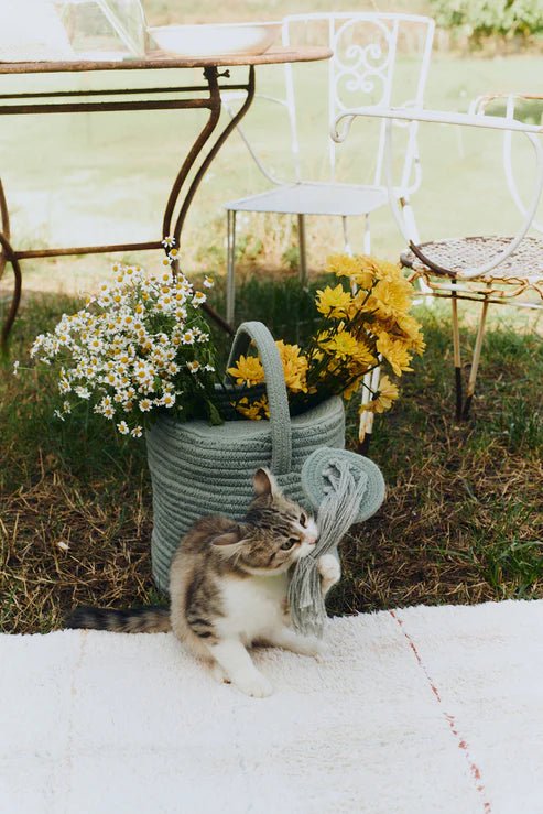 Basket, Water Can - Le Petit Marché Home Furniture