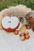 Cushion, Apple - Le Petit Marché Home Furniture