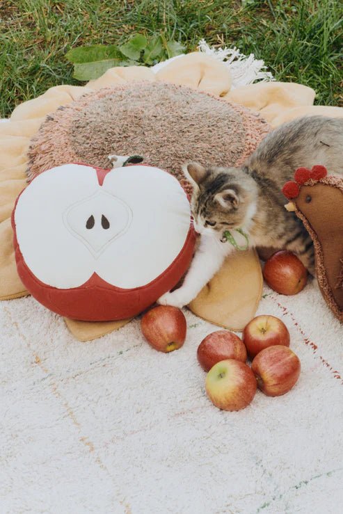 Cushion, Apple - Le Petit Marché Home Furniture