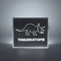 'Dinosaur' Acrylic Box LED - Le Petit Marché Home Furniture