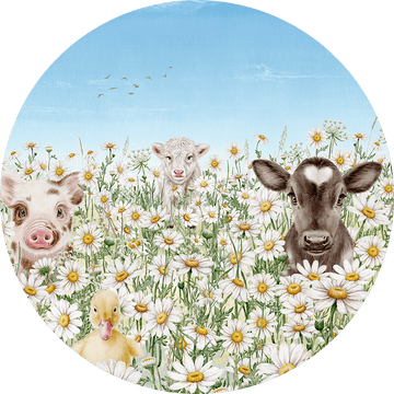 Farm Animals - Circle - Le Petit Marché Home Furniture