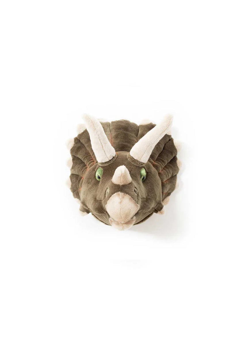 Head, Adam the Triceratops - Le Petit Marché Home Furniture
