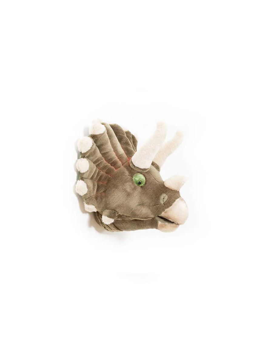 Head, Adam the Triceratops - Le Petit Marché Home Furniture