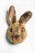 Head, Lewis The Brown Hare - LPM Home