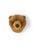 Head, Oliver the Brown Bear - Le Petit Marché Home Furniture