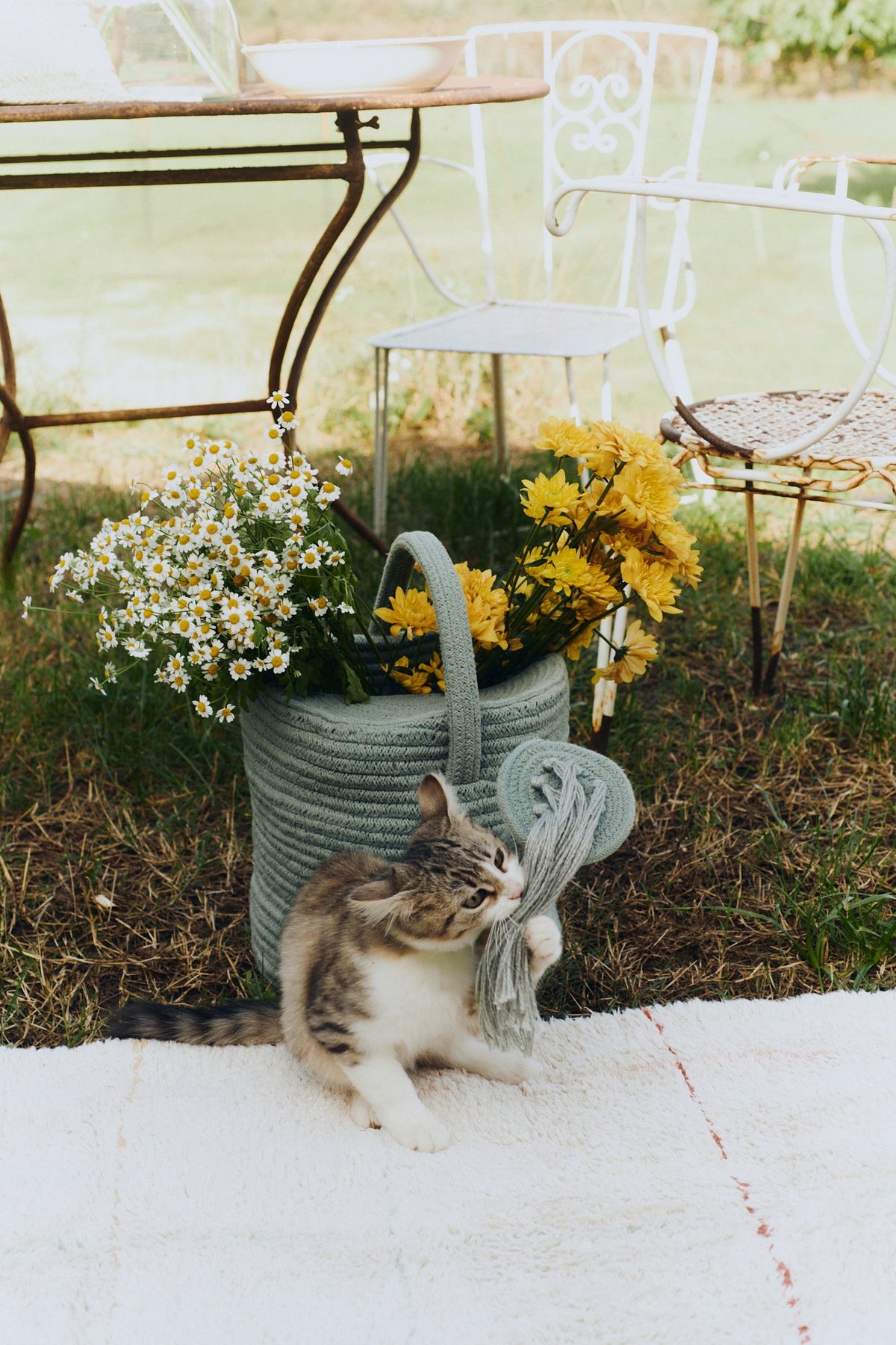 Basket Water Can - Le Petit Marché Home Furniture