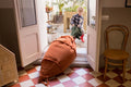 Bean bag Cathy the Carrot - Le Petit Marché Home Furniture