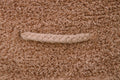 Pouf Chill Chestnut - Le Petit Marché Home Furniture