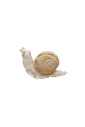 Cushion Lazy Snail - Le Petit Marché Home Furniture