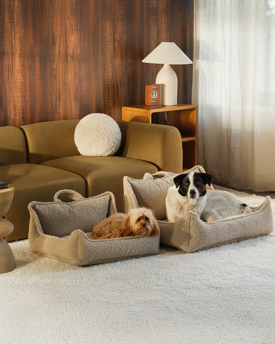 Pet Club Chair (Pre-Order) - LPM Home