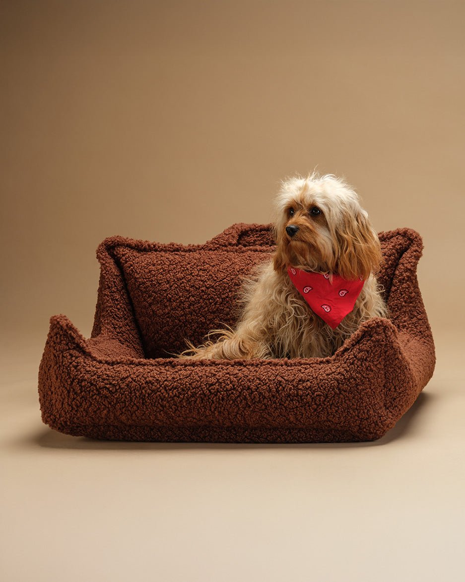 Pet Club Chair (Pre-Order) - LPM Home