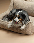 Pet Club Chair (Pre-Order) - LPM Home