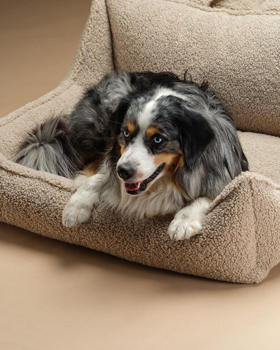 Pet Club Chair (Pre-Order) - LPM Home