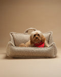 Pet Club Chair (Pre-Order) - LPM Home