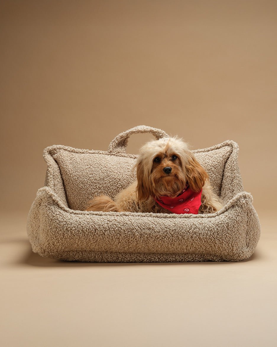 Pet Club Chair (Pre-Order) - LPM Home