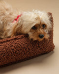 Pet Club Chair (Pre-Order) - LPM Home