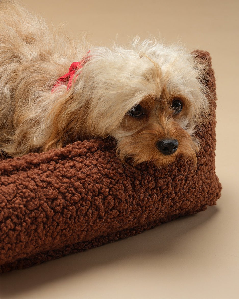 Pet Club Chair (Pre-Order) - LPM Home