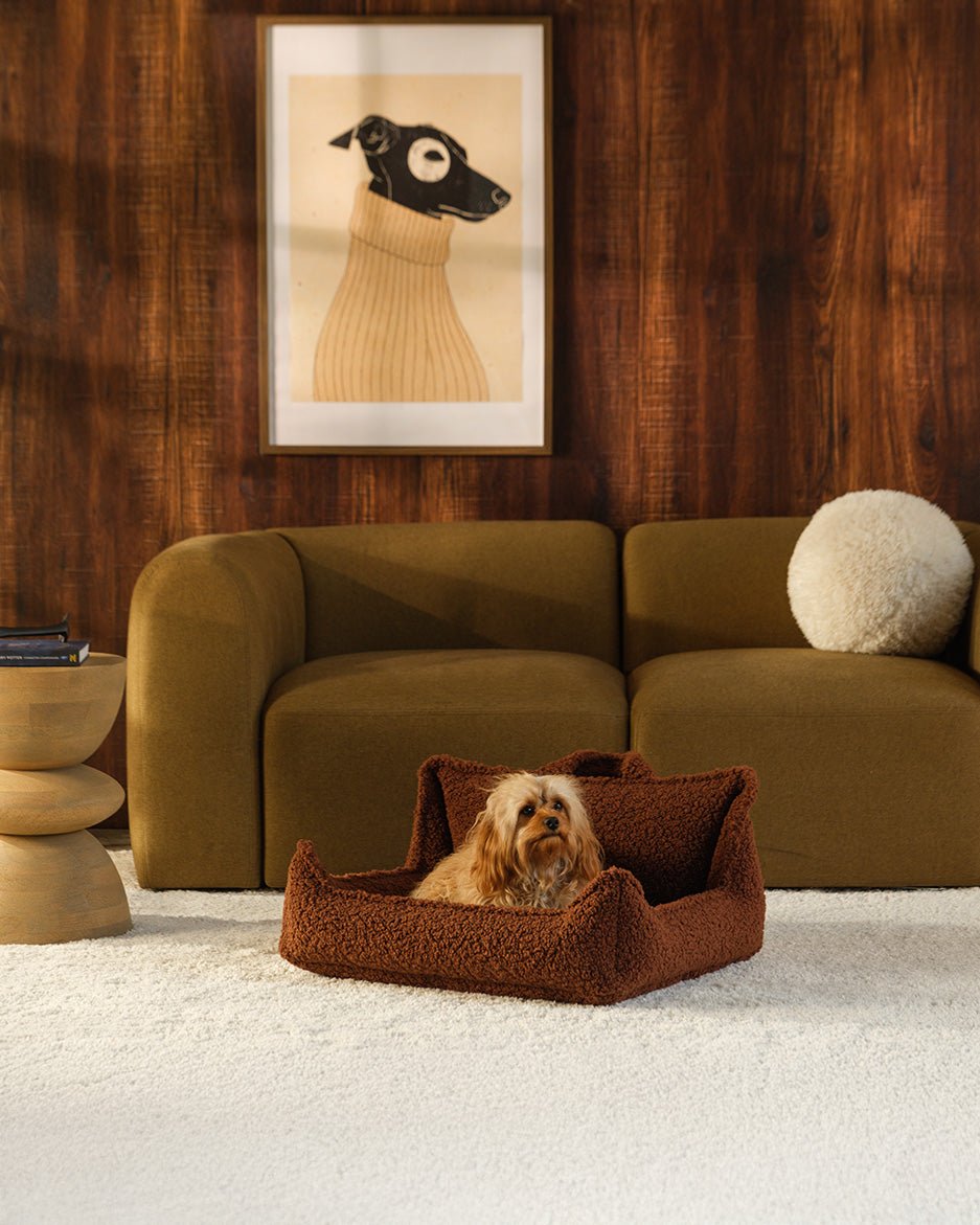 Pet Club Chair (Pre-Order) - LPM Home