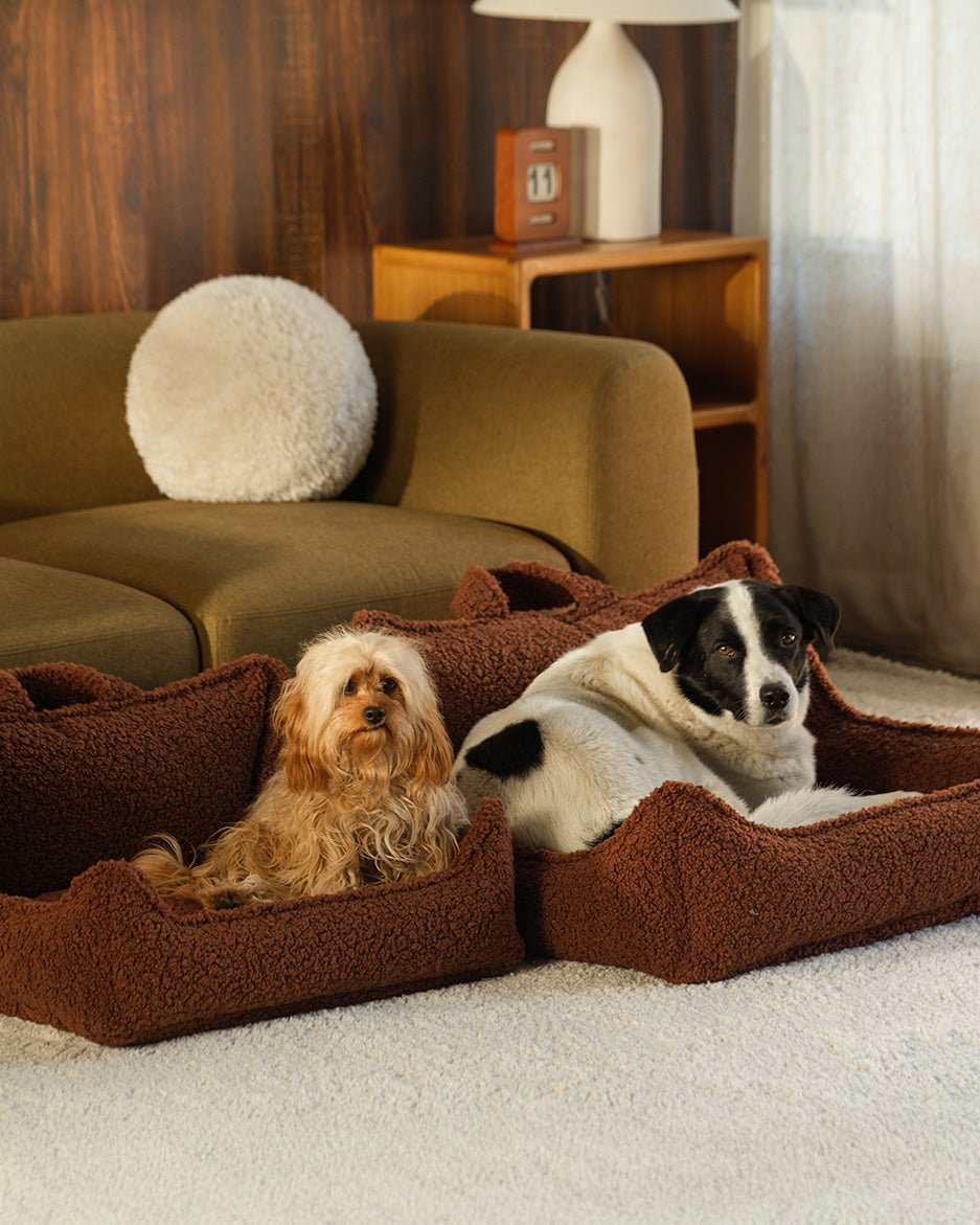 Pet Club Chair (Pre-Order) - LPM Home