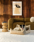 Pet Club Chair (Pre-Order) - LPM Home