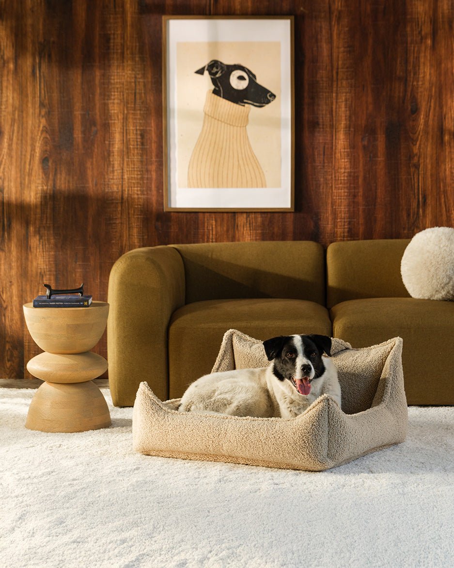 Pet Club Chair (Pre-Order) - LPM Home