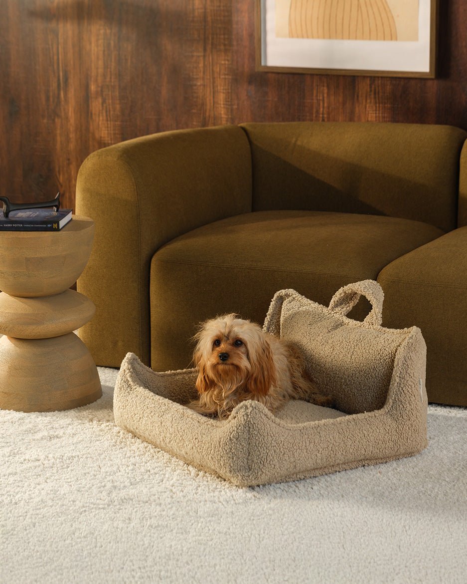 Pet Club Chair (Pre-Order) - LPM Home