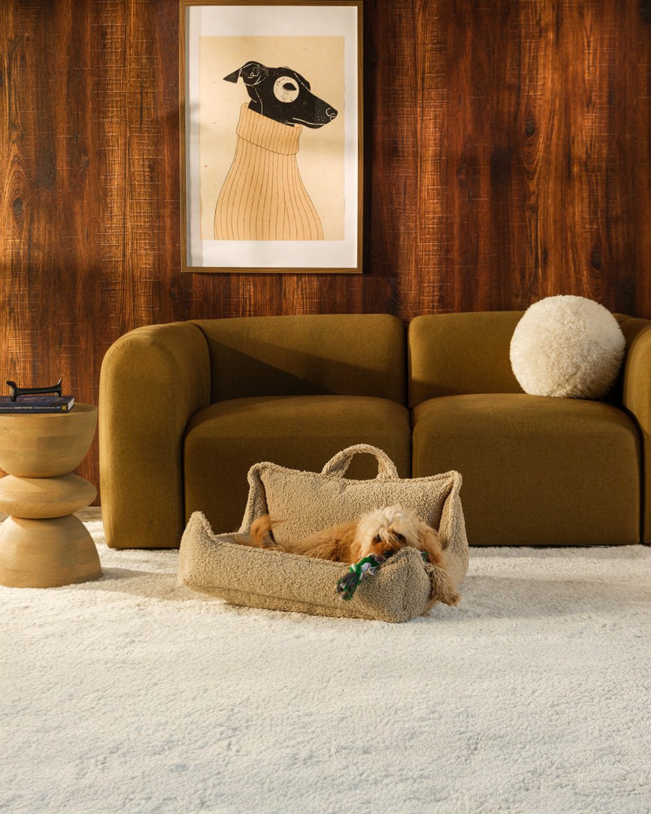 Pet Club Chair (Pre-Order) - LPM Home