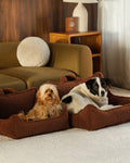 Pet Club Chair (Pre-Order) - LPM Home