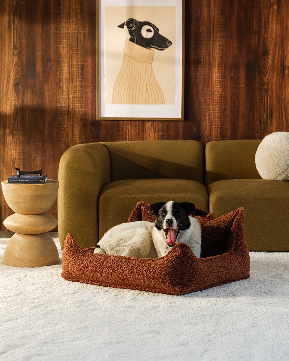 Pet Club Chair (Pre-Order) - LPM Home