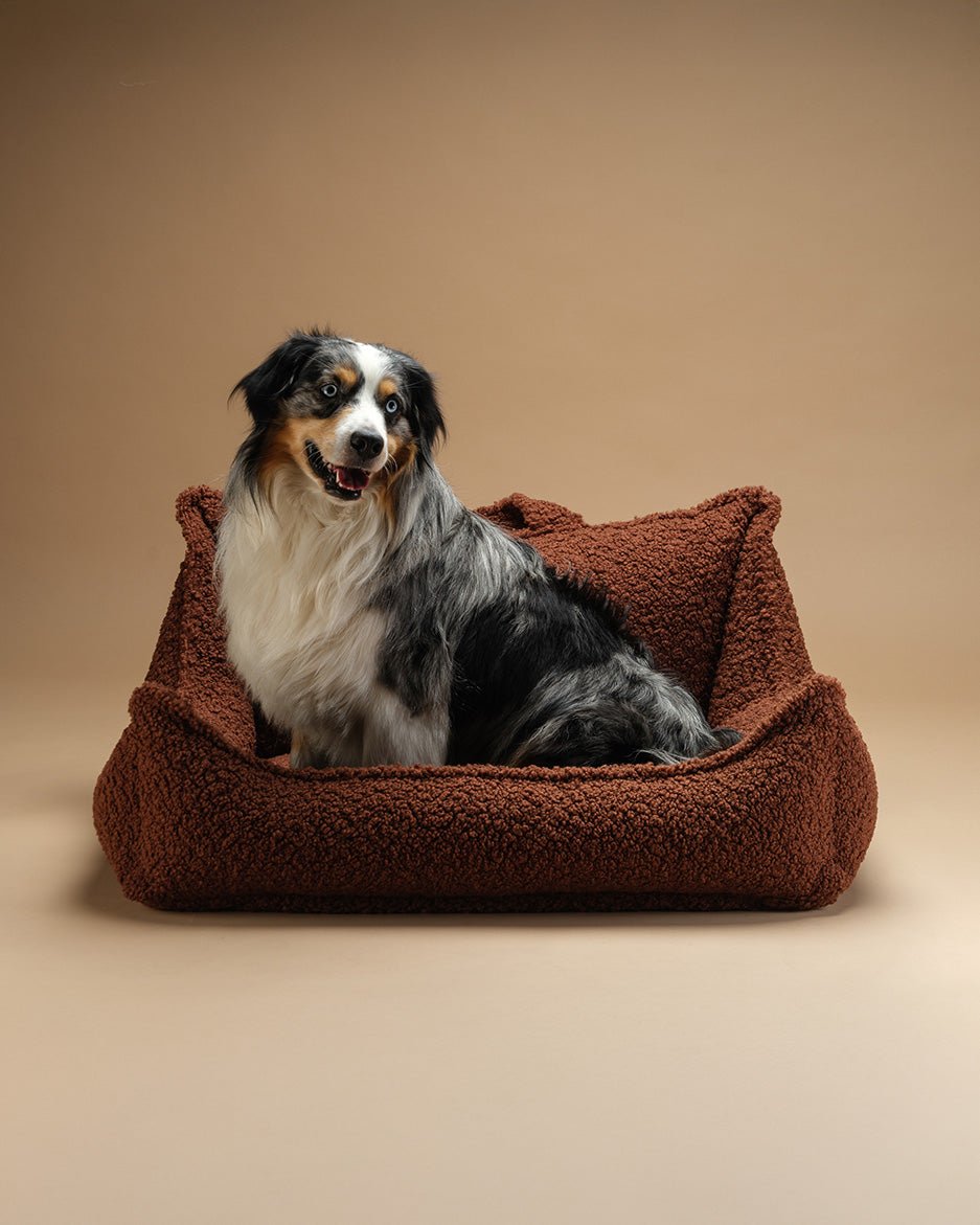 Pet Club Chair (Pre-Order) - LPM Home