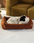 Pet Snuggle Bed (Pre-Order) - LPM Home