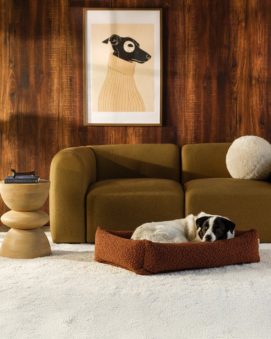 Pet Snuggle Bed (Pre-Order) - LPM Home