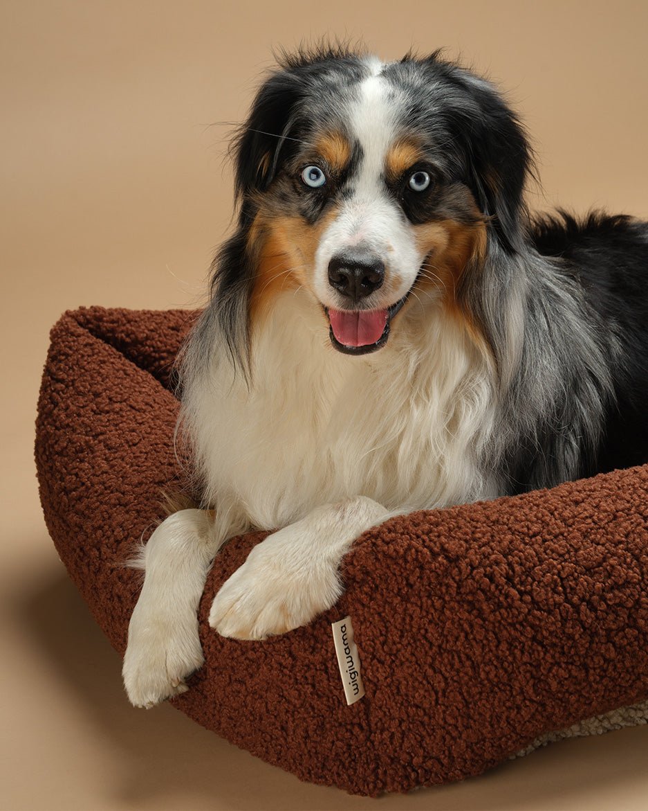 Pet Snuggle Bed (Pre-Order) - LPM Home