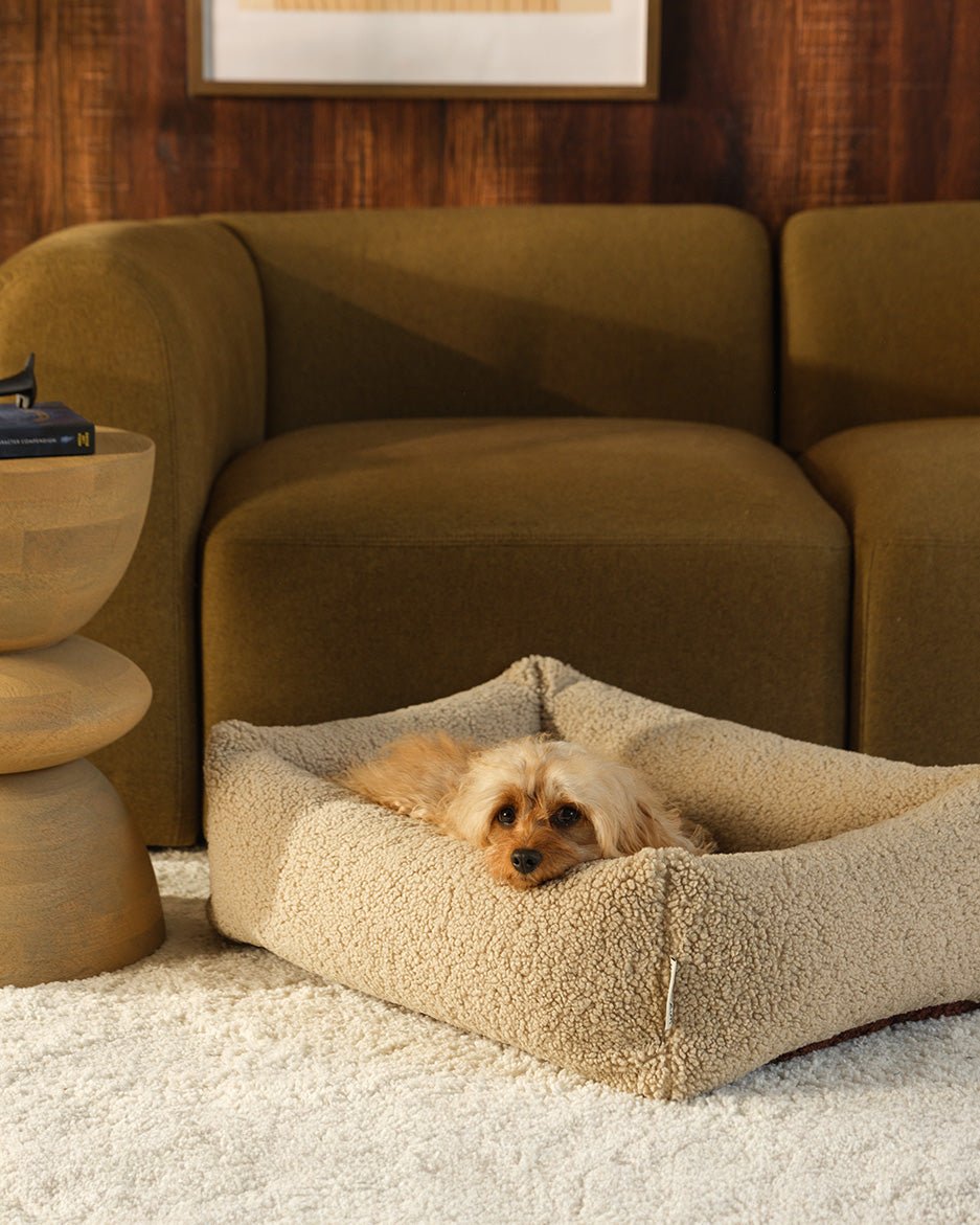 Pet Snuggle Bed (Pre-Order) - LPM Home